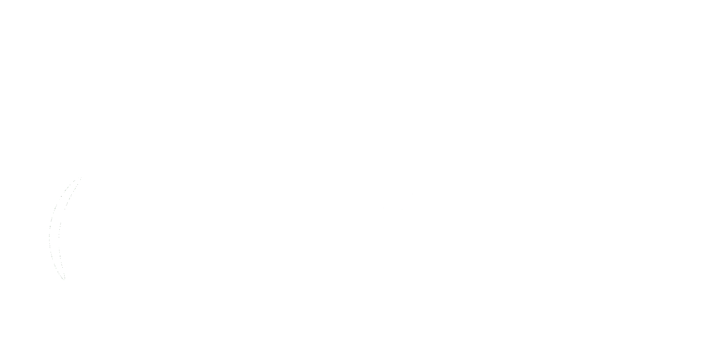 Logo en blanco